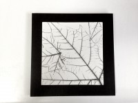 /album/fotogaleria-obras-ceramicas/img-0511-jpg/